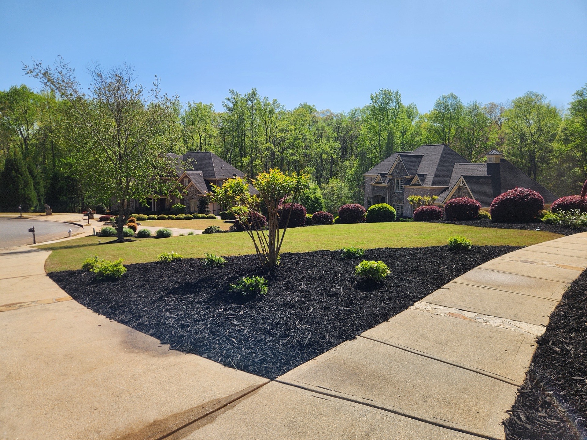 Commercial Pine Straw Application