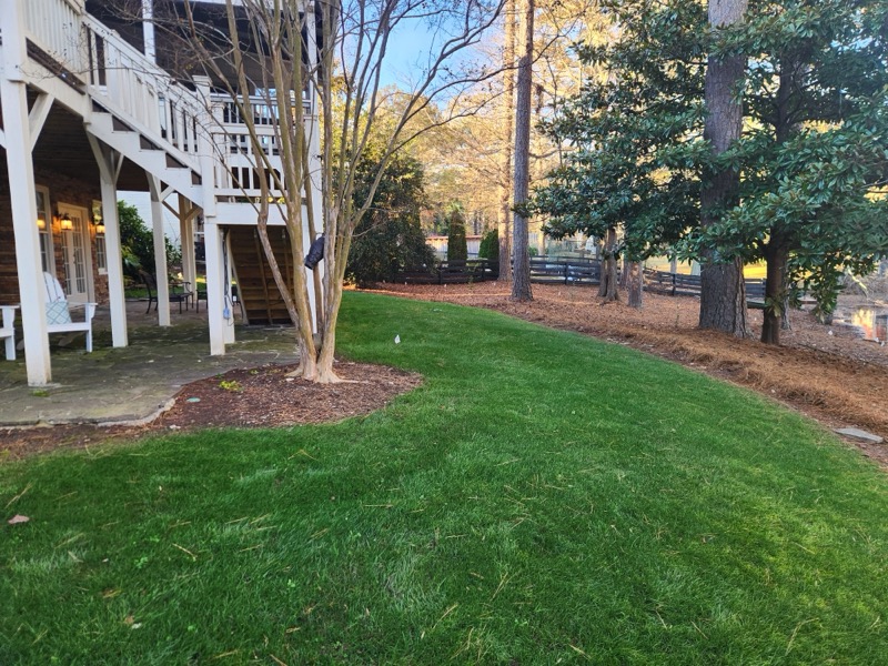 Gutter Cleaning, Drainage Repair & Lawn Maintenance