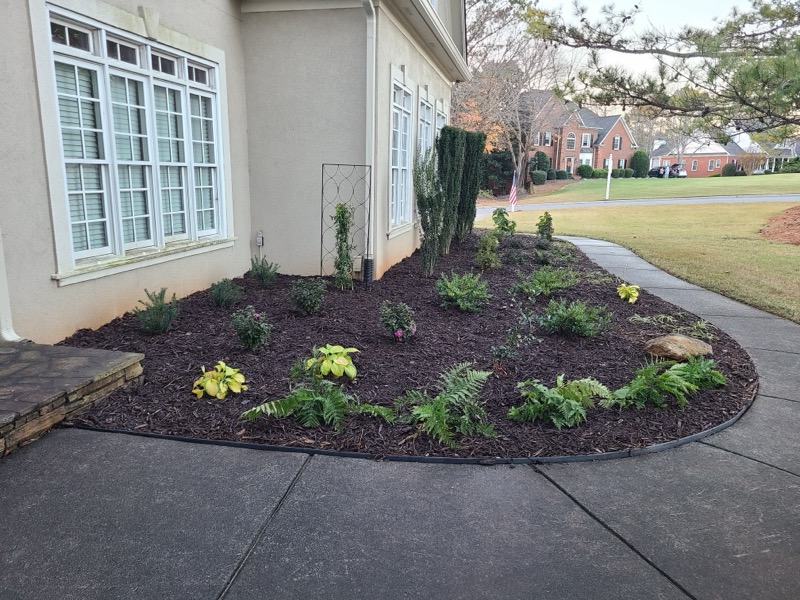 Garden Design for Shade Tolerant Beds and Sod