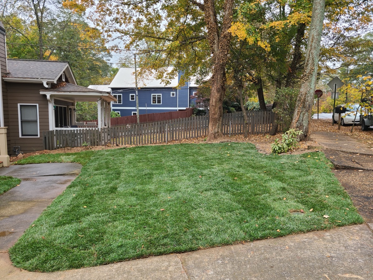 Fescue vs Bermuda in North Georgia: Which Grass Is Right for Your Lawn?