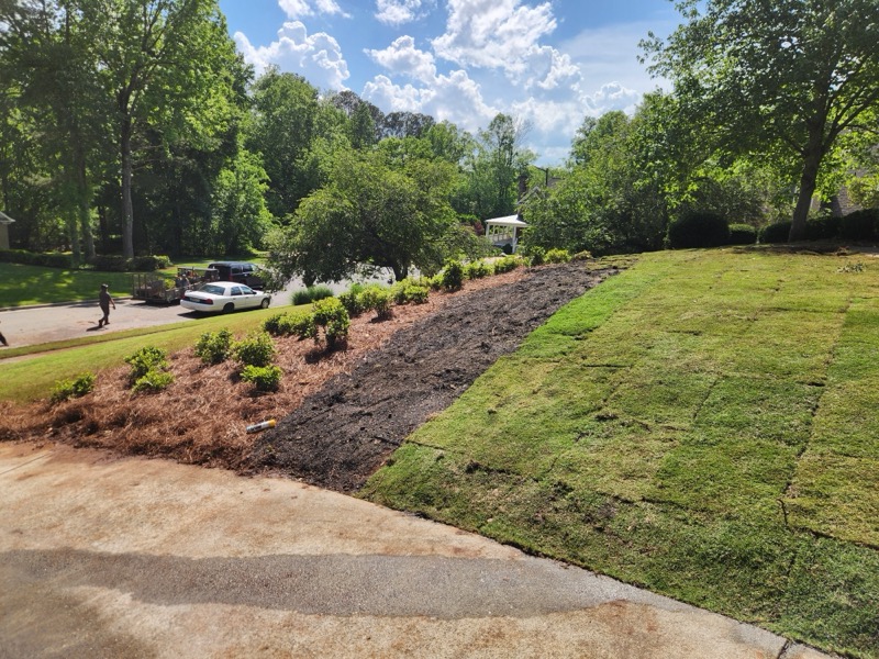 Sod Installation